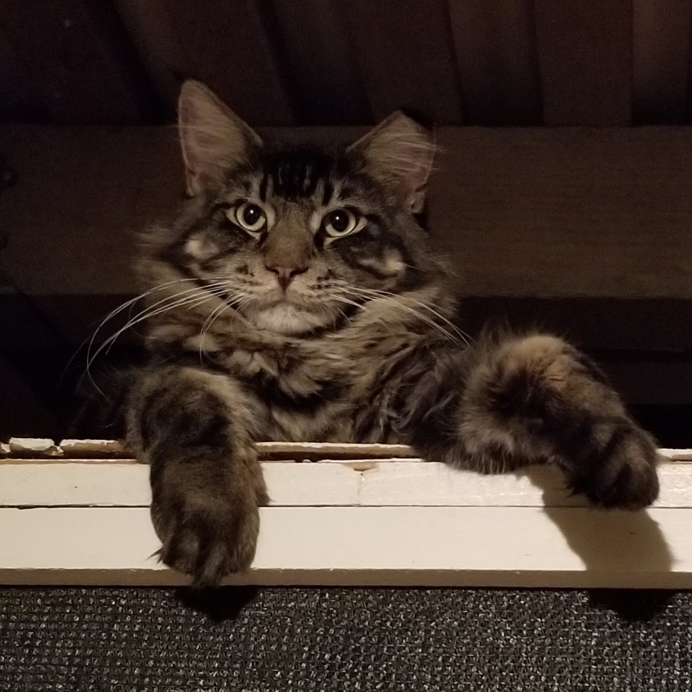 Meet your Posher, Kimberly